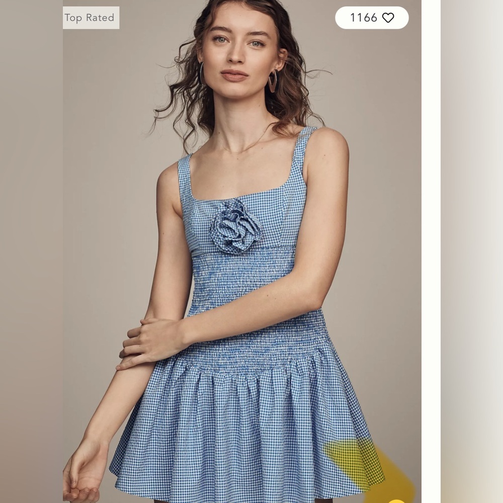 Anthropologie Maeve Smocked Rosette Drop-Waist Mini Dress NWT